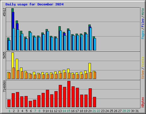 Daily usage for December 2024