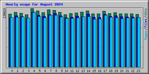 Hourly usage for August 2024