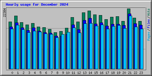 Hourly usage for December 2024