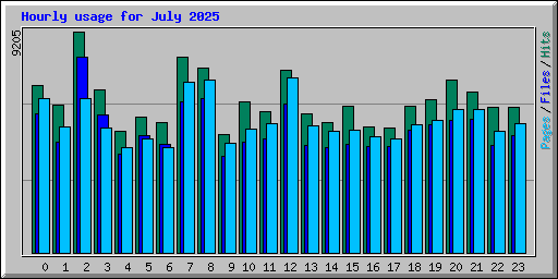 Hourly usage for July 2025