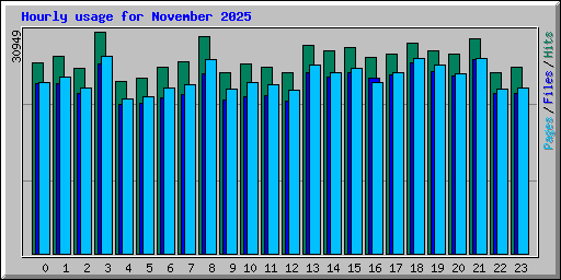 Hourly usage for November 2025