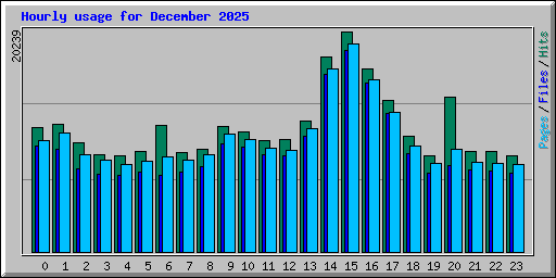 Hourly usage for December 2025