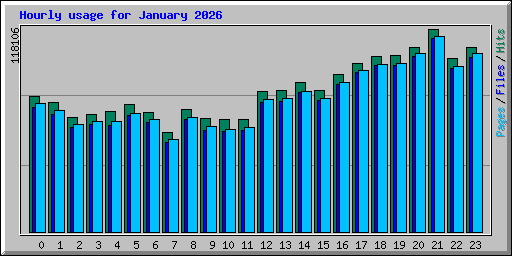 Hourly usage for January 2026