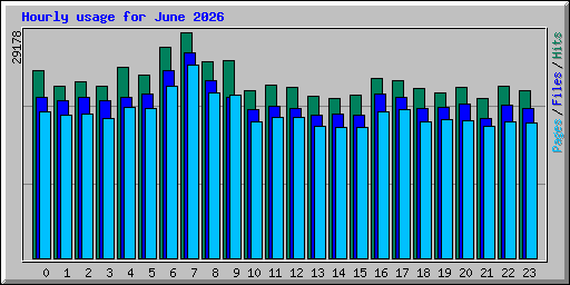 Hourly usage for June 2026